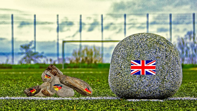 可以援引此 可以援引此