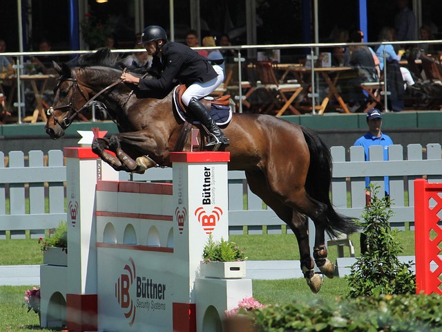 的实战锻炼 的实战锻炼