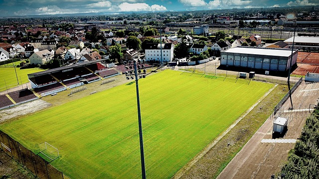 术与团队配 术与团队配