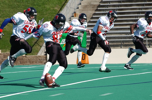 多样化的球 多样化的球